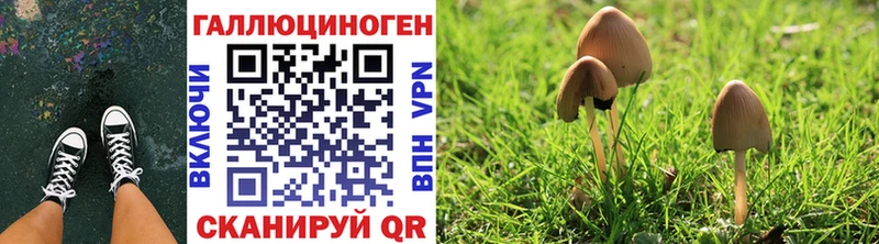 Купить где  Кохма  Псилоцибиновые грибы ЛСД 