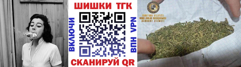 Каннабис сатива  Купить где  Кохма 